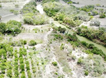 Terreno / Lote · 450000m² · 1 Recámara · Rancho en Vena Villa Cuauhtémoc, Altamira