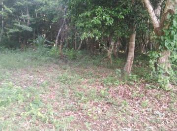 Terreno / Lote · 9000m² · Terreno en Bacalar
