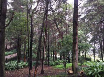 Terreno / Lote , Tlalpan · Terreno en Venta en El Cedral, San Andrés Totoltepec, Tlalpan