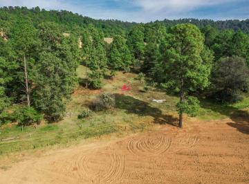 Terreno / Lote , Tapalpa · Erreno Boscoso en Venta en Tapalpa de 7,000 m² Cerca de Juanacatlán.