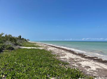 Terreno / Lote · 2935m² · Terreno en Venta Frente Al Mar en Chicxulub Puerto - 20 m Lineales