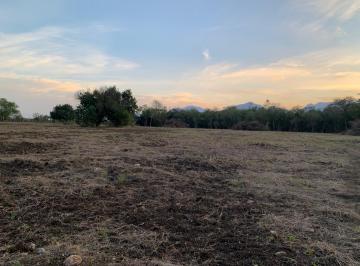 Terreno / Lote , Montemorelos · Terreno en Camino a Las Moritas