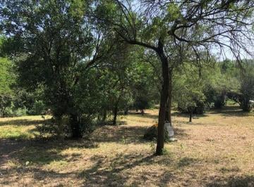 Terreno / Lote · 1200m² · Terreno en Montemorelos