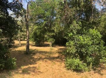 Terreno / Lote · 1200m² · Terreno en Montemorelos