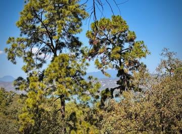 Terreno / Lote , Valle de Bravo · Terreno en Venta con Vista Al Lago en Valle de Bravo a 7 Min del Centro Avándaro