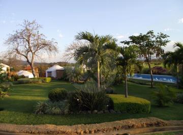 IMG_2D8A941E01D4-1.jpeg · Casa Uso de Suelo en Venta en Pueblo Tetecalita
