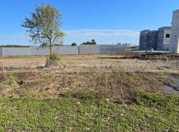 Terreno comercial , Allende · Terreno Comercial en Venta en La Colmena de Arriba