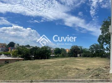 Terreno / Lote · 427m² · Terreno en Gustavo Diaz Ordaz