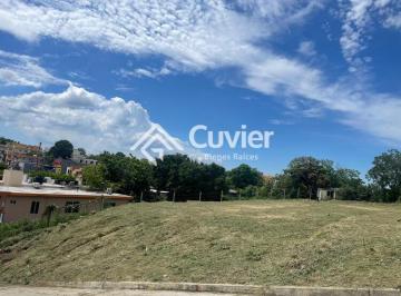 Terreno / Lote · 499m² · Terreno en Gustavo Diaz Ordaz