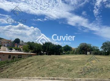 Terreno / Lote · 499m² · Terreno en Gustavo Diaz Ordaz