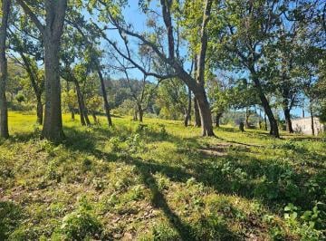 Terreno / Lote · 8800m² · Terreno en Venta en La Vuelta de Chichimequillas, Zitácuaro, Michoacán, México