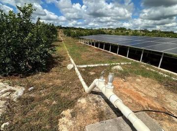 Rancho , Izamal · Rancho Limonero Cerca de Mérida Izamal Propiedad Privada Se Escuchan Ofertas!