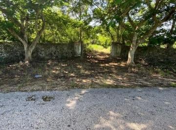 Rancho , Buctzotz · Rancho Cerca de Merida con Luz a Orilla de Carretera Propiedad Privada