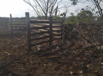 68ad246af245452ccfef286289b515e5c304e4d9fef19ab9d44c9e56a7b0984f · Rancho Cerca de Merida Yucatan Propiedad Privada