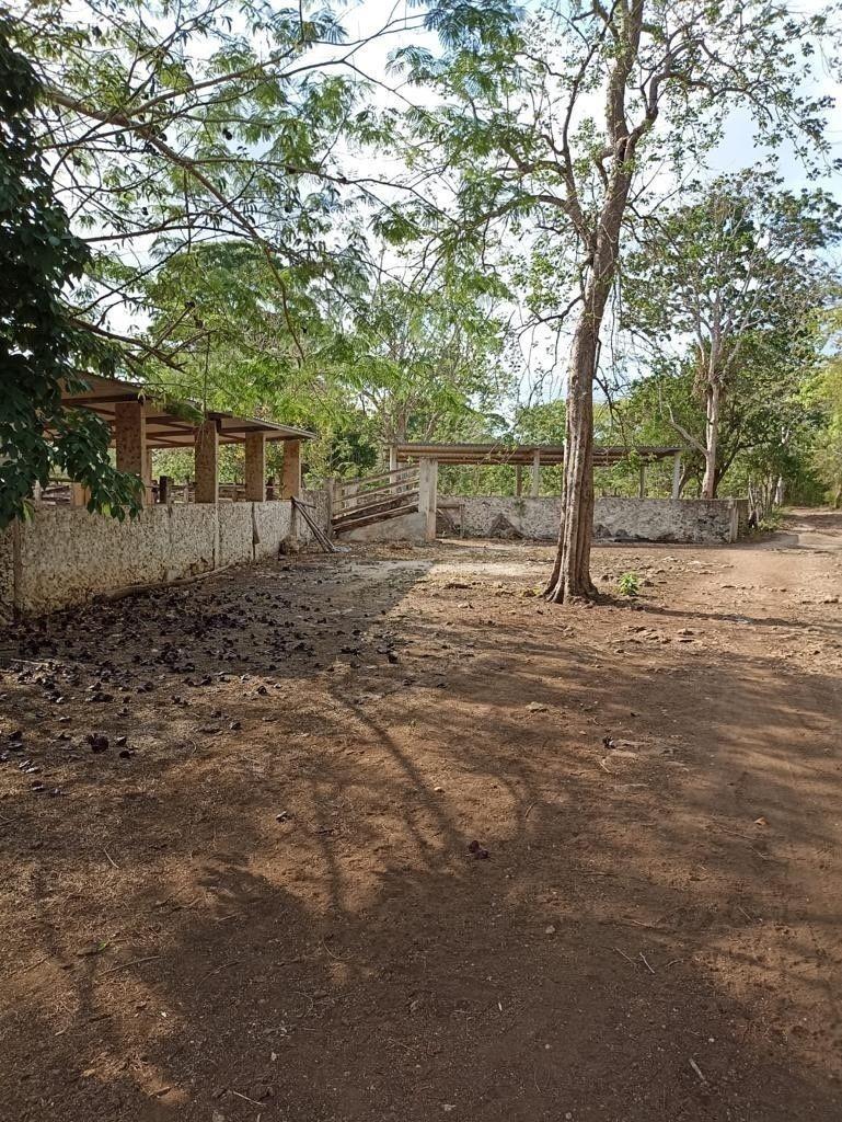 Ranch Near Mérida in Sucilá, Yucatán, 39 Ha