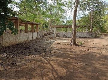 Rancho , Sucilá · Rancho Cerca de Merida en Sucila Yucatan 39 Ha