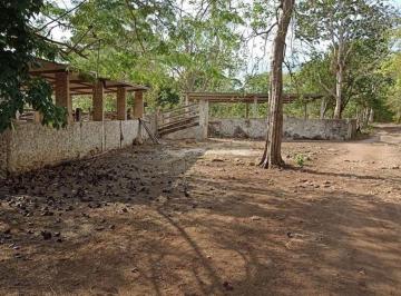 c38b013862c1b00ff73d5374d5bff04e8838c226e9f0d4e5a87fc57ffd6a9917 · Rancho Cerca de Merida en Sucila Yucatan 39 Ha