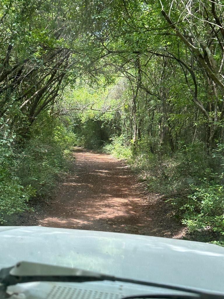 Rancho a 50 Minutos de Merida Yucatan Propiedad Privada 60 Ha
