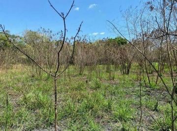 Rancho , Tekax · Terreno en Tekax 1,192 Ha Propiedad Privada