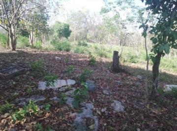 Rancho , Uayma · Rancho 122 Ha 15 Minutos Valladolid Cerca Tren Maya Propiedad Privada