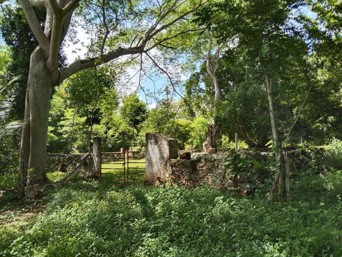 Rancho Cerca de Merida 24 Ha en Teabo Propiedad Privada
