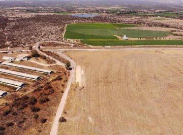 Terreno / Lote · 481818m² · Terreno en Carretera Lagos de Moreno - San Luis Potosí
