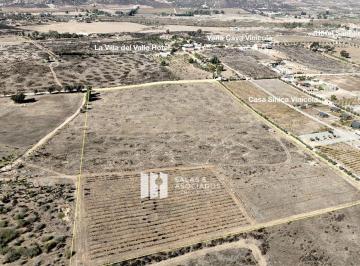 931e2fdce53671919ff3295edc87c3c9d6bde1be4903386b77df7b702cd4f408 · 4 Ha en Valle de Guadalupe
