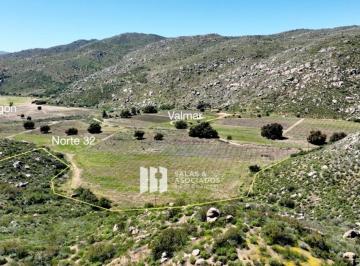 735841913280e9d1a05dcbfc9f8f02d6a004701678dad8f97551151eb88c91f1 · 17 Ha en Colina Vecino Encuentro Guadalupe, Valle de Guadalupe