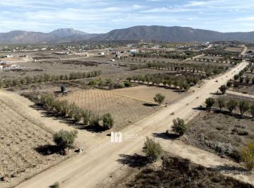 6ac8b22ceff3e9540184365e9f70c64c8a62fc92290a05bc92594de7648b83ae · Terreno de 3500 m² en Privada