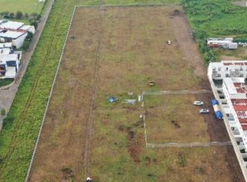 Terreno / Lote , Zapopan · Terreno en Venta Jardin Real, los Girasoles