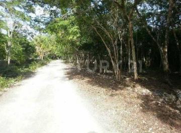 Terreno / Lote · 390000m² · Terreno en Venta Zona Agropecuaria Super Manzana 160 Cancún Benito Juárez