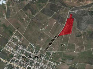 Terreno / Lote , Arteaga · Terreno en Venta, San Antonio de La Alazanas, Sierra de Arteaga