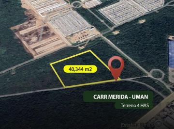 Terreno / Lote , Mérida · Terreno Industrial en Venta en Carr Merida - Uman