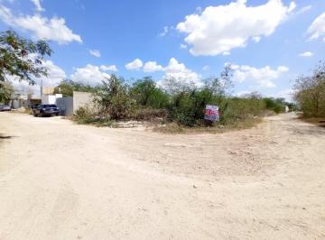 Terreno / Lote , Mérida · Terreno en Esquina en Venta en Dzitya en Mérida Yucatán Zona Norte