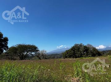 Terreno / Lote · 500m² · Terreno en Venta Fraccionamiento Nuevo Coapexpan