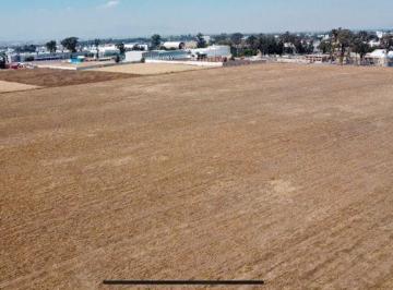 Terreno / Lote , Texcoco · Terreno en Venta en Texcoco, Estado de Mexico