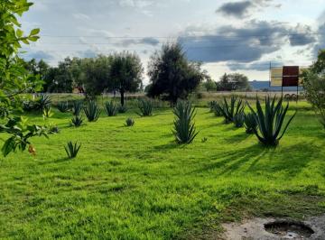 Rancho de 1 habitación, Rincón de Romos · Rancho Rincon de Romos Aguasalientes