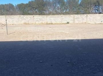 Terreno / Lote · 1000m² · Renta de Terreno