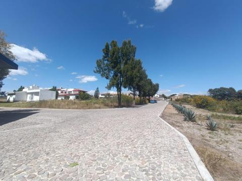 ¡Terreno Residencial Campestre en Las Haras! Descubre esta gran opo…