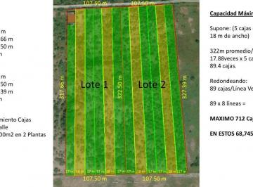 Terreno / Lote · 70000m² · Terreno en Renta en Salinas Victoria