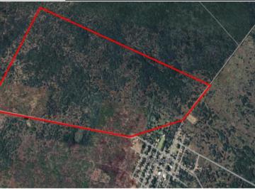 Terreno / Lote , Maxcanú · Terreno en Venta, Chunchumil Yucatán