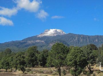 Terreno / Lote · 50000m² · Ha en Venta en El Municipio de Altzayanca, Tlaxcala