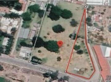 Terreno / Lote , Tlajomulco de Zúñiga · Terreno en Venta en Colonia San Agustín Tlajomulco de Zúñiga