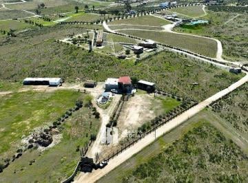55ac8421d27e802206fe404bc820e4ffee608b7f20ef6b70fd2594d2bc8de713 · 2.2 Ha en Valle de Guadalupe! de Oportunidad!