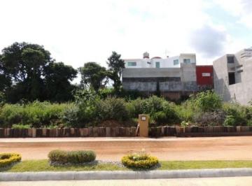 Terreno / Lote , Cuernavaca · Venta Terrenos Uso Suelo Habitacional Lomas Ahuatlán Cuernavaca Ter_5093 Cue/dl