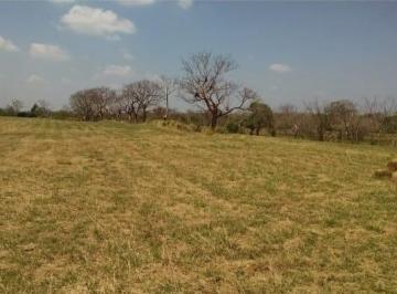 Terreno / Lote · 7m² · Terreno en Veracruz