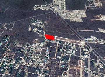Terreno / Lote · 14000m² · 14,000 m² Ideal Para Desarrollar Una Privada, Casas, Lotes, Depas, Etc, Calles Pavimentadas, Cfe