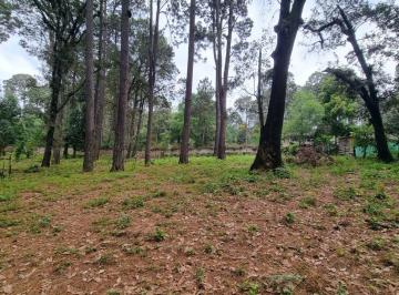 Terreno / Lote , Valle de Bravo · Terreno con Entorno de Bosque, en Venta