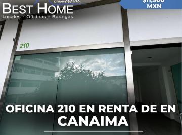 Oficina · 50m² · 1 Recámara · 2 Estacionamientos · Oficina 210 de 50 m² en Renta en Canaima - Cancún