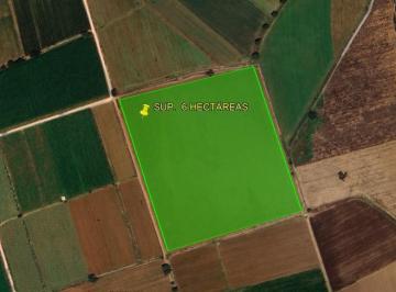 Terreno / Lote · 60000m² · Terreno en Viñedor, Tequisquiapan Qro. Sup. 6 Hectáreas